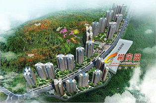 郴房網電商部強勢入駐 組團共贏云鼎天闕